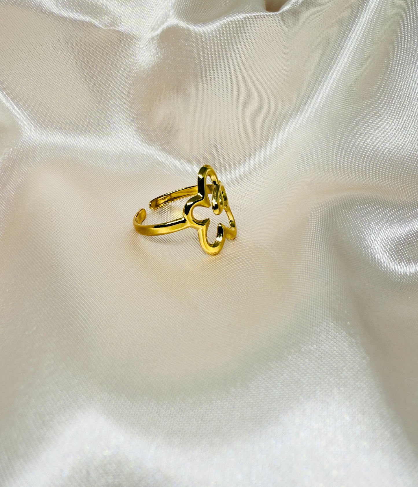 Asymmetrical hollow ring