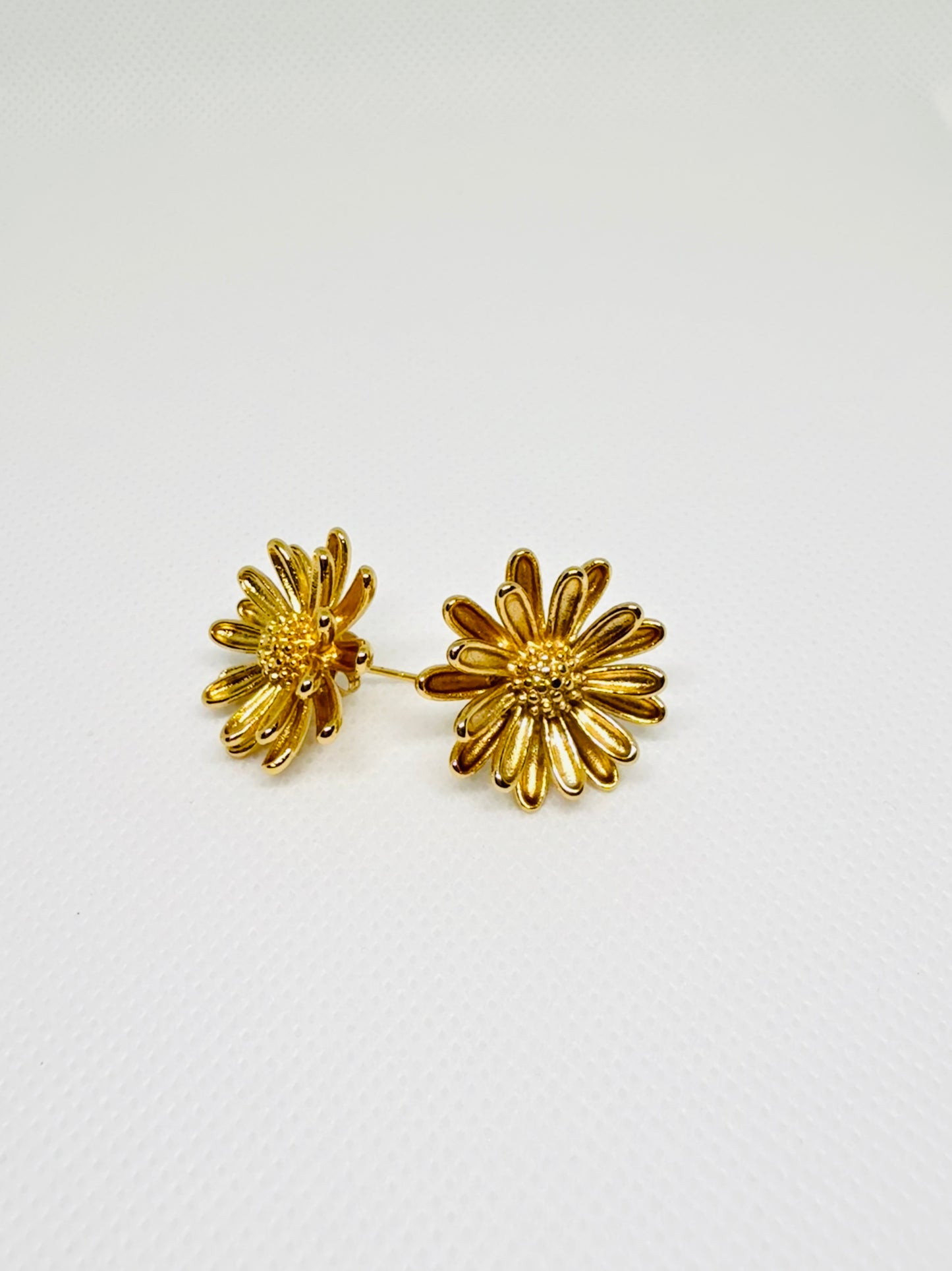 Chrysanthemum flower studs