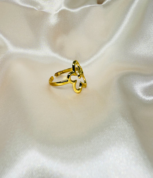 Asymmetrical hollow ring