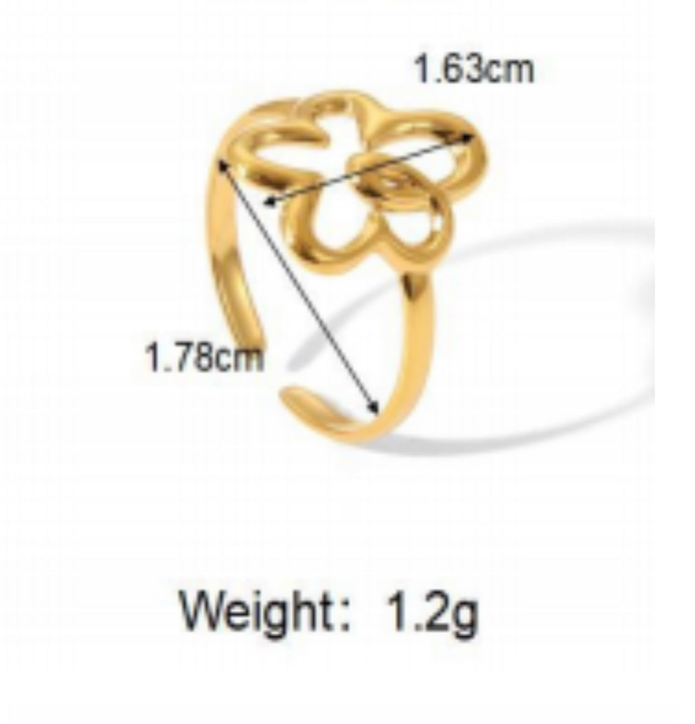 Asymmetrical hollow ring