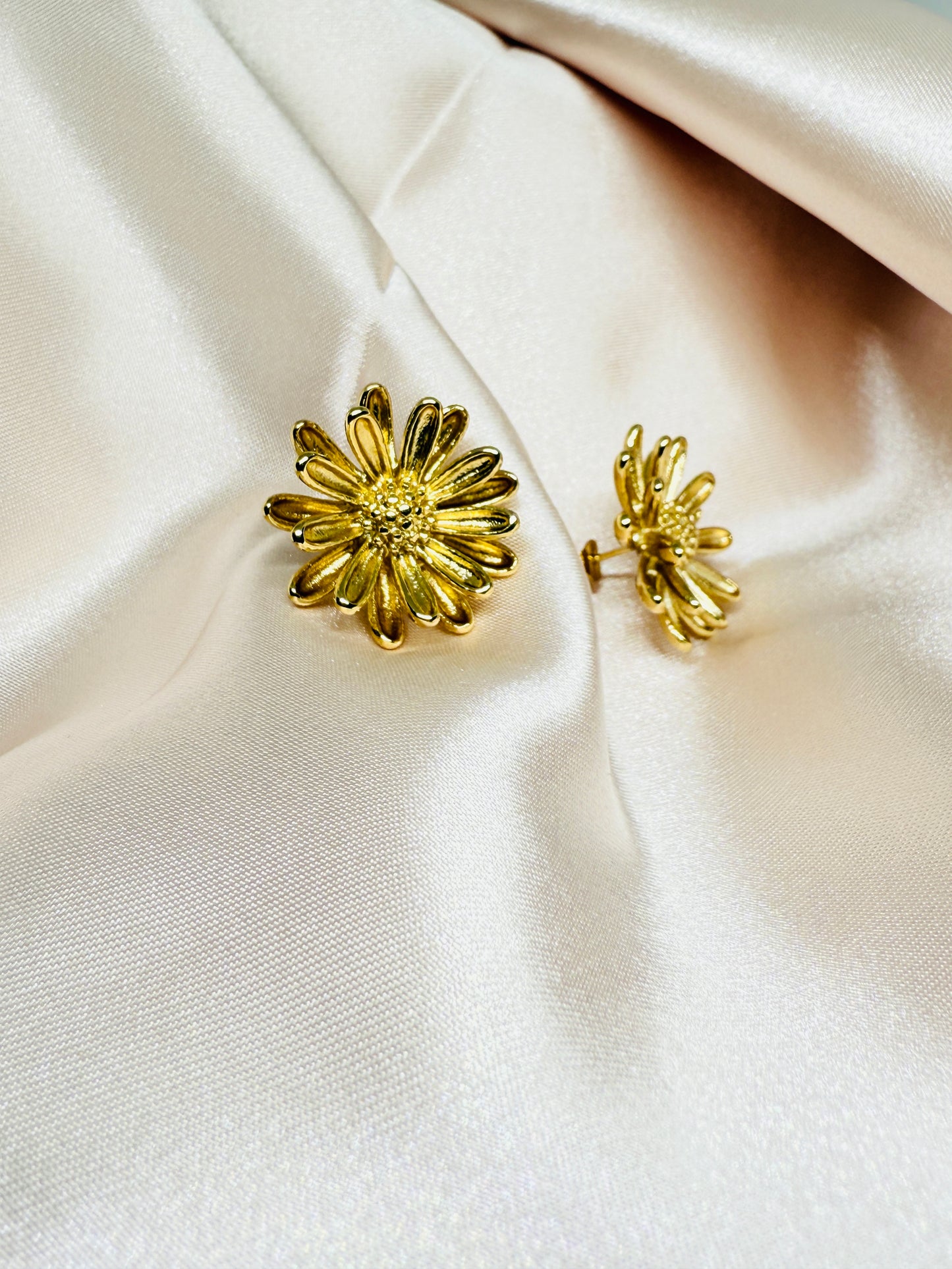 Chrysanthemum flower studs