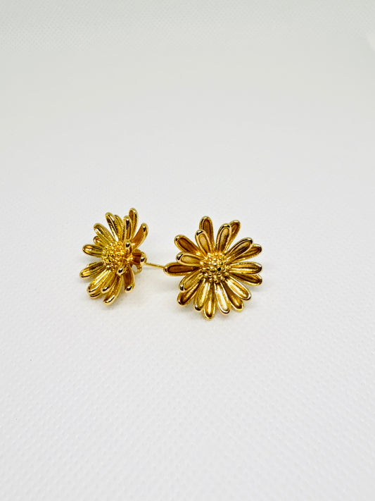 Chrysanthemum flower studs