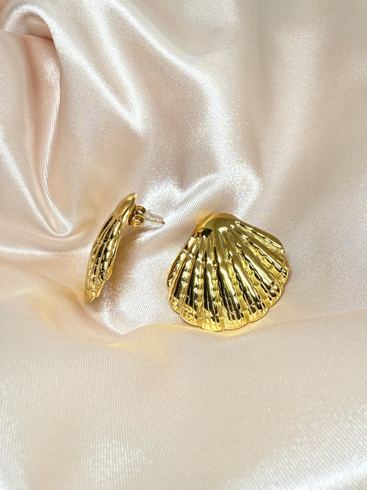 Sea shell beach earrings